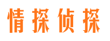 盐山侦探公司